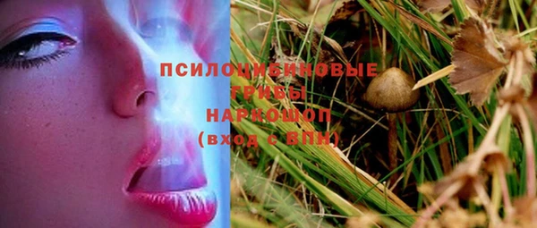 прущая мука Магадан